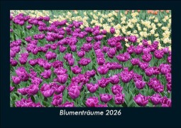 Cover-Bild zum Titel 'Blumenträume 2026 Fotokalender DIN A5' von 'Tobias Becker'