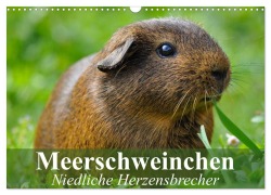Cover-Bild zum Titel 'Meerschweinchen Niedliche Herzensbrecher (Wandkalender 2026 DIN A3 quer), CALVENDO Monatskalender' von 'Elisabeth Stanzer'