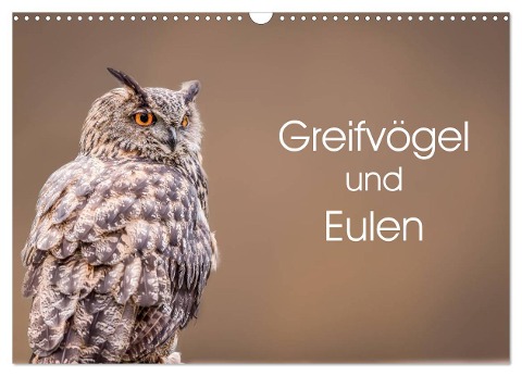 Greifvögel und Eulen (Wandkalender 2025 DIN A3 quer), CALVENDO Monatskalender - Markus van Hauten