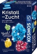 Kristall-Zucht - 