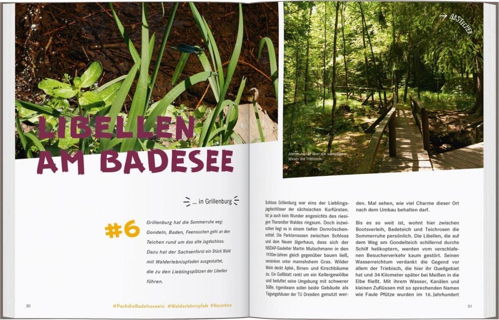 InsideView 2