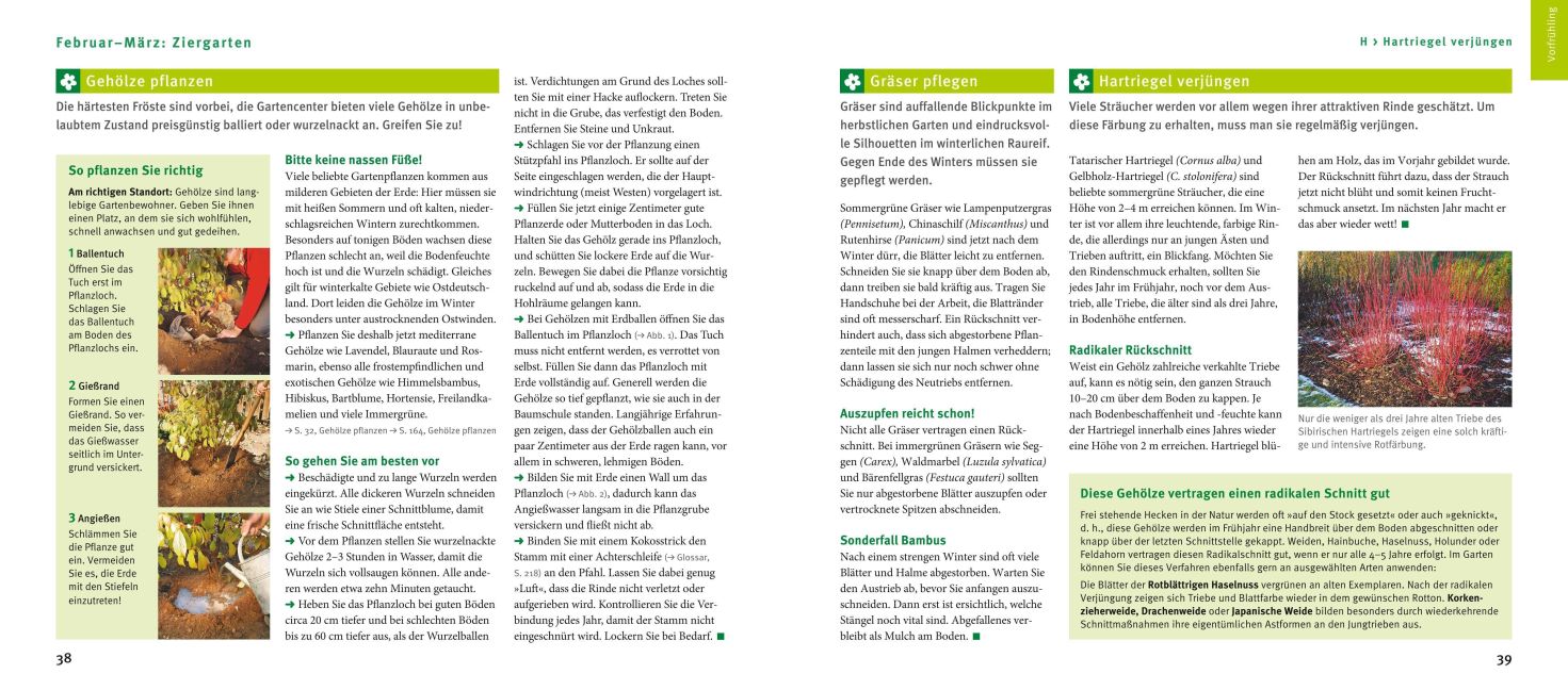 InsideView 5