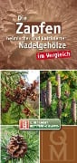 Die Zapfen heimischer und kultivierter Nadelgehölze im Vergleich - 