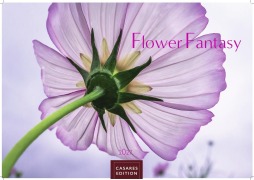 Cover-Bild zum Titel 'Flower Fantasy Kalender 2027 - Wandkalender | Fotokalender Naturkalender | Blumenkalender | 35x50cm - Wunderschöne Blumenfotos in bestechender Ästhetik' von ''