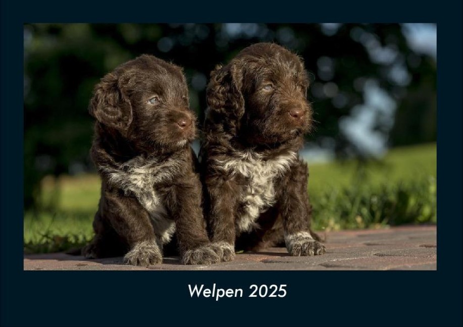 Welpen 2025 Fotokalender DIN A4 - Tobias Becker