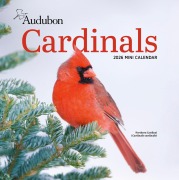 Cover-Bild zum Titel 'Audubon Cardinals Mini Wall Calendar 2026' von 'Workman Calendars'