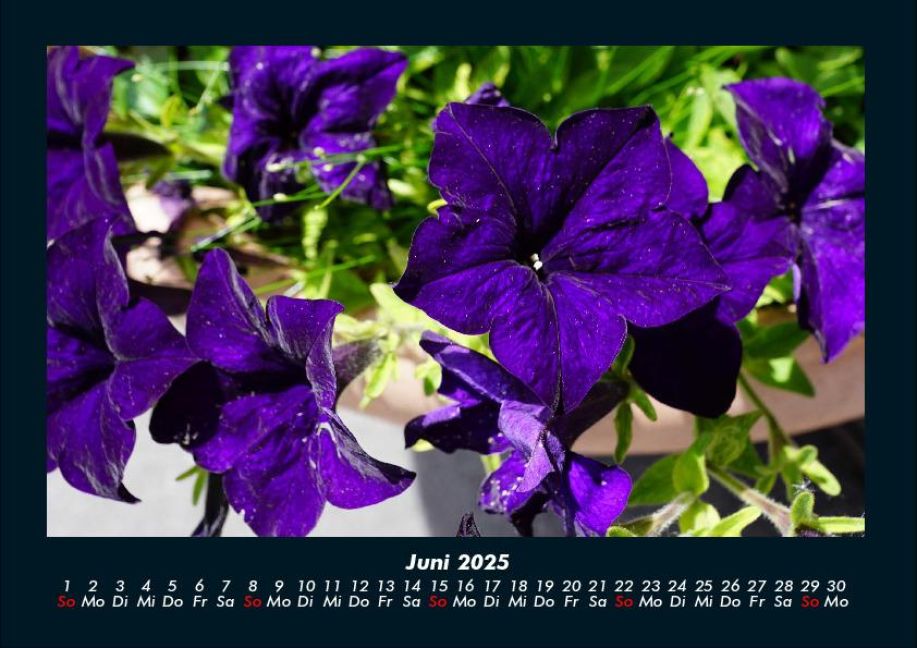 InsideView 10