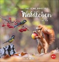 Vadim Trunov: Märchenhaftes Waldleben Postkartenkalender 2025 - 