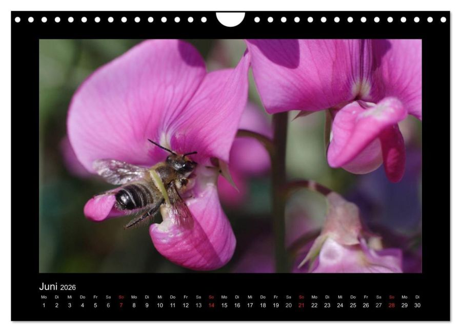 InsideView 11