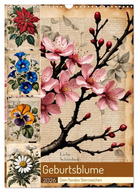 Geburtsblume, dein florales Sternzeichen (Wandkalender 2026 DIN A3 hoch), CALVENDO Monatskalender - Babette Whitter