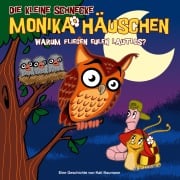 Cover-Bild zum Titel '19: Warum fliegen Eulen lautlos?' von 'Kati Naumann, Klaus Brotmann'