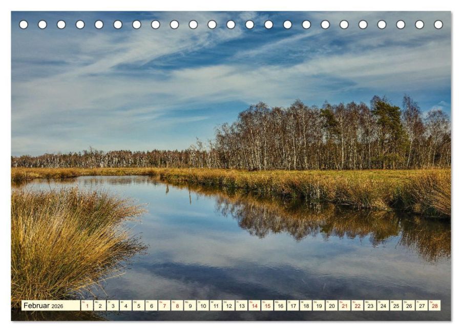 InsideView 7