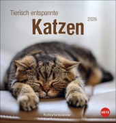 Tierisch entspannte Katzen Postkartenkalender 2026 - 