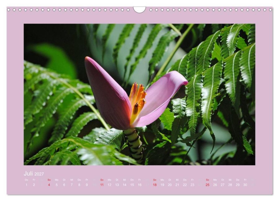 InsideView 12
