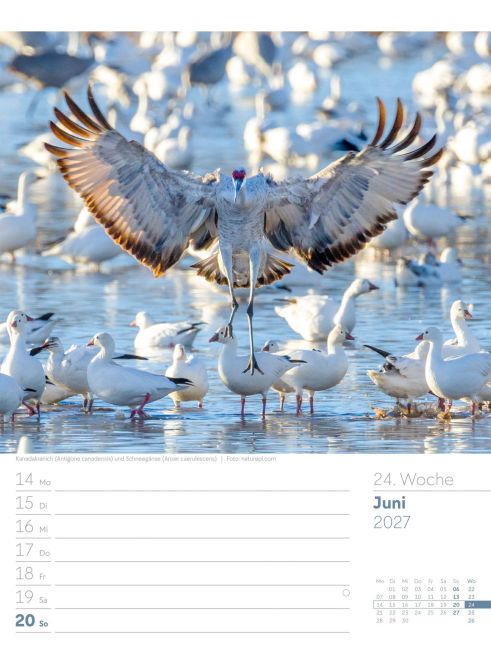 InsideView 28