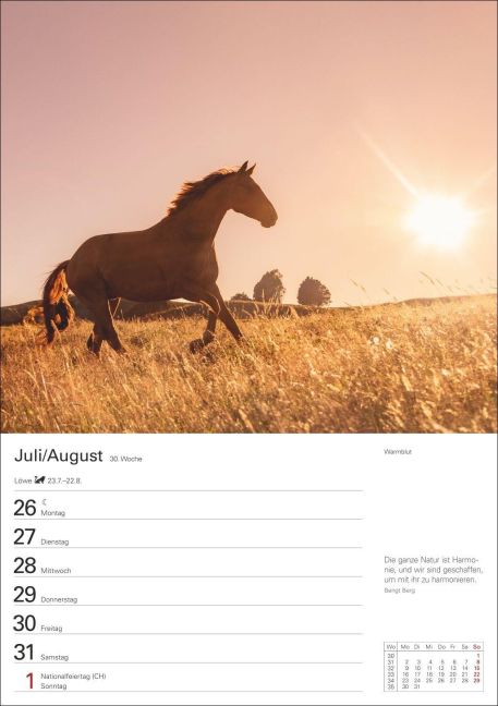 InsideView 11