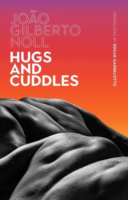 Hugs and Cuddles - João Gilberto Noll