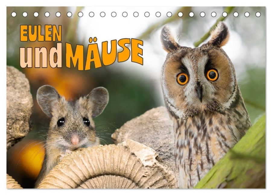 Eulen und Mäuse (Tischkalender 2026 DIN A5 quer), CALVENDO Monatskalender - Jennifer Hetzel