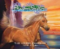 Cover-Bild zum Titel 'Phantom Stallion, Wild Horse Island, 25: The Horse Charmer' von 'Terri Farley'