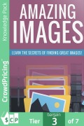 Cover-Bild zum Titel 'Amazing Images' von 'David Brock'
