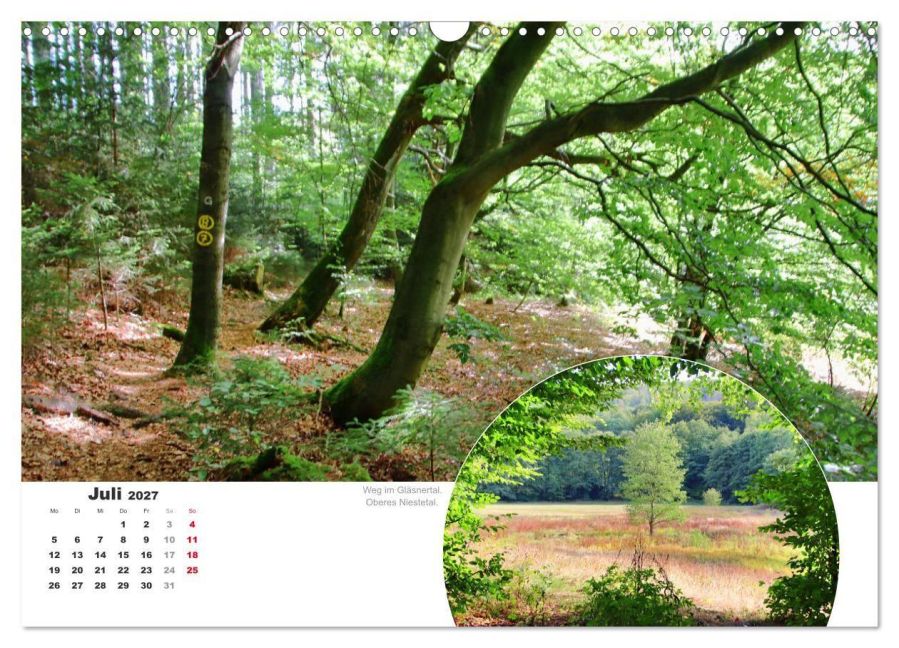 InsideView 12
