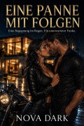 Cover-Bild zum Titel 'Eine Panne mit Folgen' von 'Nova Dark'