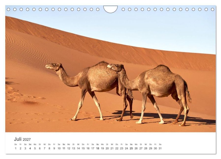 InsideView 12