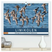 Limikolen - Watvögel am norddeutschen Wattenmeer (hochwertiger Premium Wandkalender 2026 DIN A2 quer), Kunstdruck in Hochglanz - Arne Wünsche