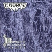 Cover-Bild zum Titel 'Midnight In The Garden Of Tragedy (CD)' von 'Le Morte'