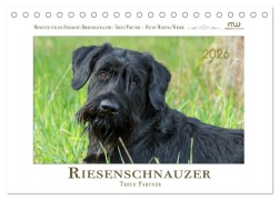 Cover-Bild zum Titel 'Riesenschnauzer - Treue Partner (Tischkalender 2026 DIN A5 quer), CALVENDO Monatskalender' von 'Martina Wrede'