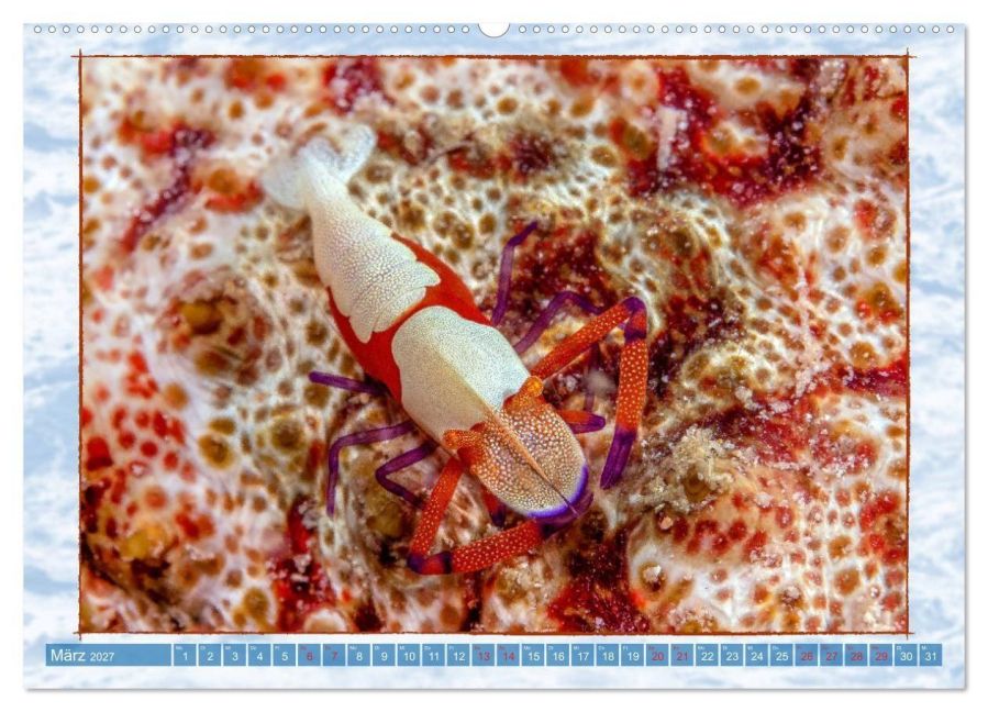 InsideView 8