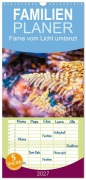 Cover-Bild zum Titel 'Familienplaner 2027 - Farne vom Licht umtanzt mit 5 Spalten (Wandkalender, 21 x 45 cm) CALVENDO' von 'Nicc Koch'