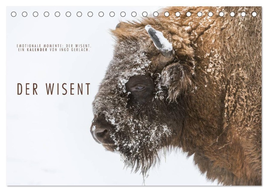 Emotionale Momente: Der Wisent. (Tischkalender 2026 DIN A5 quer), CALVENDO Monatskalender - Ingo Gerlach