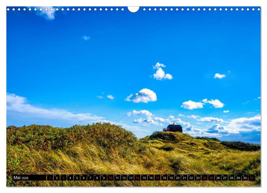 InsideView 10
