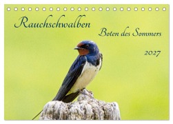 Cover-Bild zum Titel 'Rauchschwalben - Boten des Sommers (Tischkalender 2027 DIN A5 quer), CALVENDO Monatskalender' von 'Kathrin Voss'