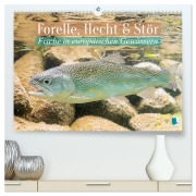 Cover-Bild zum Titel 'Forelle, Hecht und Stör: Fische in europäischen Gewässern (hochwertiger Premium Wandkalender 2026 DIN A2 quer), Kunstdruck in Hochglanz' von 'Calvendo Calvendo'