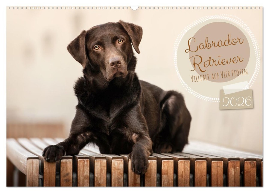 Labrador Retriever - Vielfalt auf Vier Pfoten (Wandkalender 2026 DIN A2 quer), CALVENDO Monatskalender - Sabrina Wobith Photography