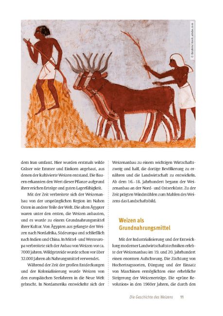 InsideView 10