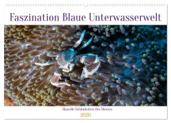 Cover-Bild zum Titel 'Faszination blaue Unterwasserwelt (Wandkalender 2026 DIN A2 quer), CALVENDO Monatskalender' von 'Peter Schulz'