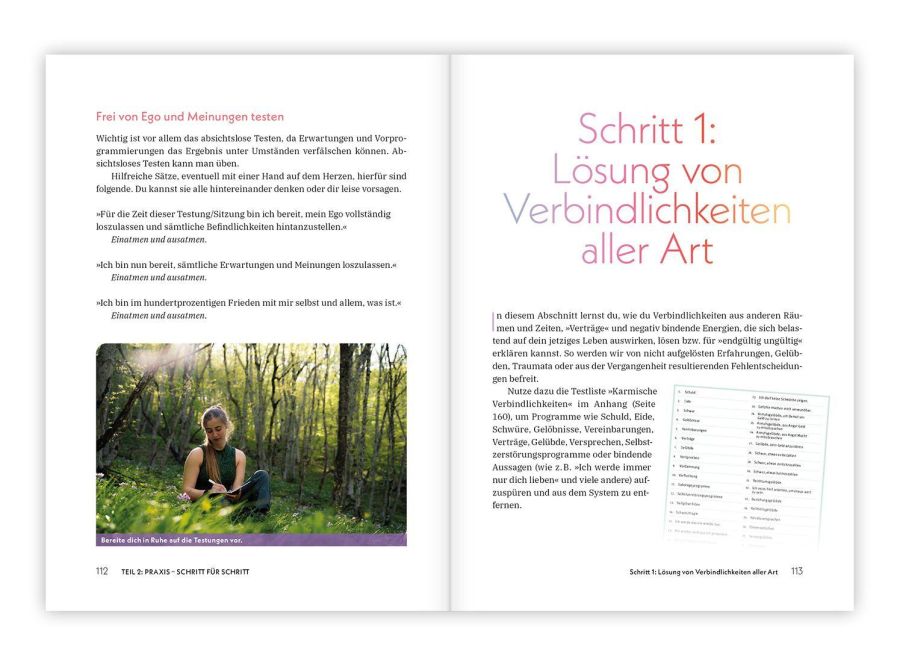 InsideView 6