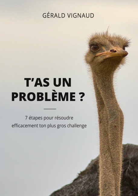 T'as un problème ? - Gérald Vignaud
