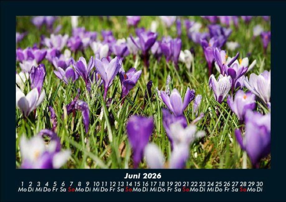 InsideView 10