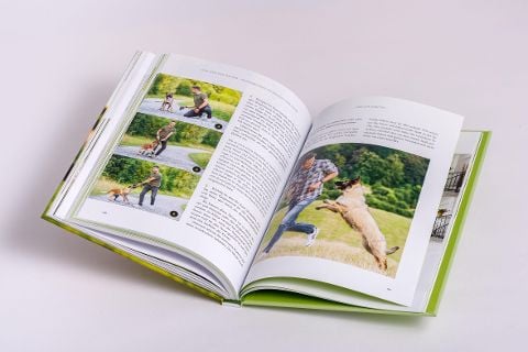InsideView 10