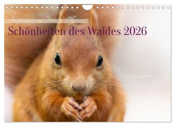 Cover-Bild zum Titel 'Schönheiten des Waldes (Wandkalender 2026 DIN A4 quer), CALVENDO Monatskalender' von 'Manuela Hartmann'