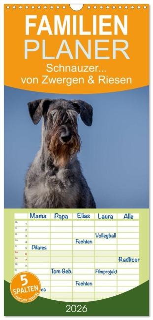 Familienplaner 2026 - Schnauzer... von Zwergen und Riesen 2026 mit 5 Spalten (Wandkalender, 21 x 45 cm) CALVENDO - Michael Janz