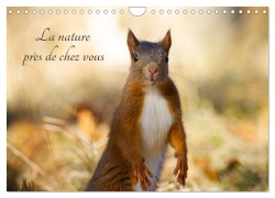 La nature près de chez vous (Calendrier mural 2026 DIN A4 vertical), CALVENDO calendrier mensuel - Christophe Lherbier