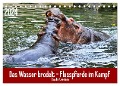Das Wasser brodelt - Flusspferde im Kampf (Tischkalender 2024 DIN A5 quer), CALVENDO Monatskalender - Claudia Kleemann