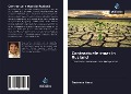 Cover-Bild zum Titel 'Contractuele staat in Rusland' von 'Surtseva Anna'