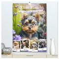Kleine Hunde. Süß und niedlich. Die beliebtesten Hunderassen (hochwertiger Premium Wandkalender 2025 DIN A2 hoch), Kunstdruck in Hochglanz - Rose Hurley