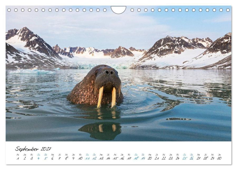 InsideView 14